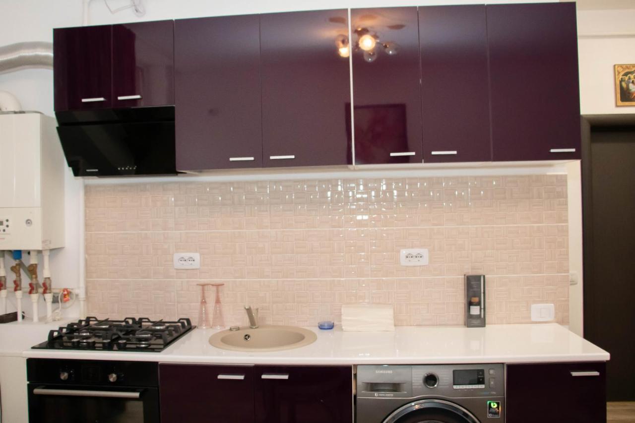 Apartament Capitala Militari Roşu 外观 照片