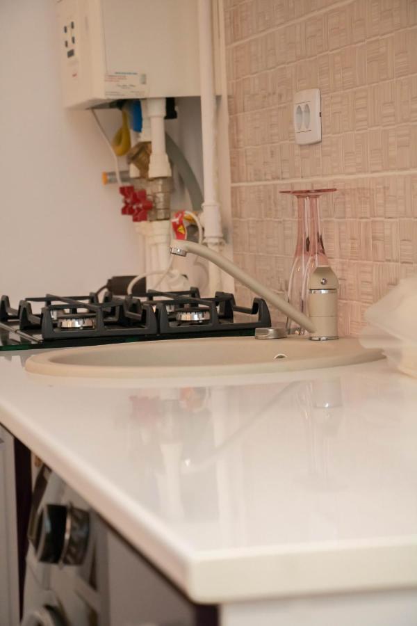 Apartament Capitala Militari Roşu 外观 照片
