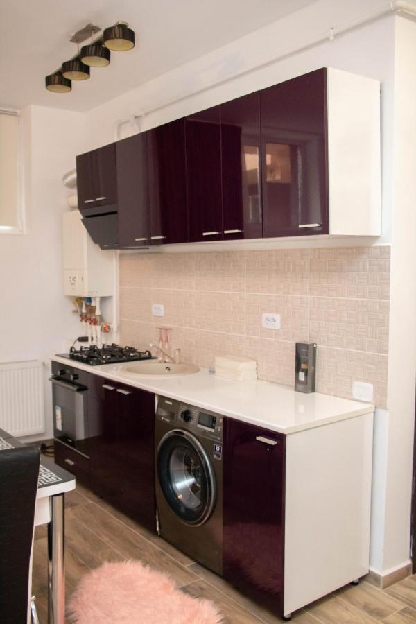 Apartament Capitala Militari Roşu 外观 照片