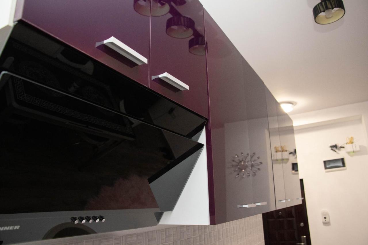 Apartament Capitala Militari Roşu 外观 照片